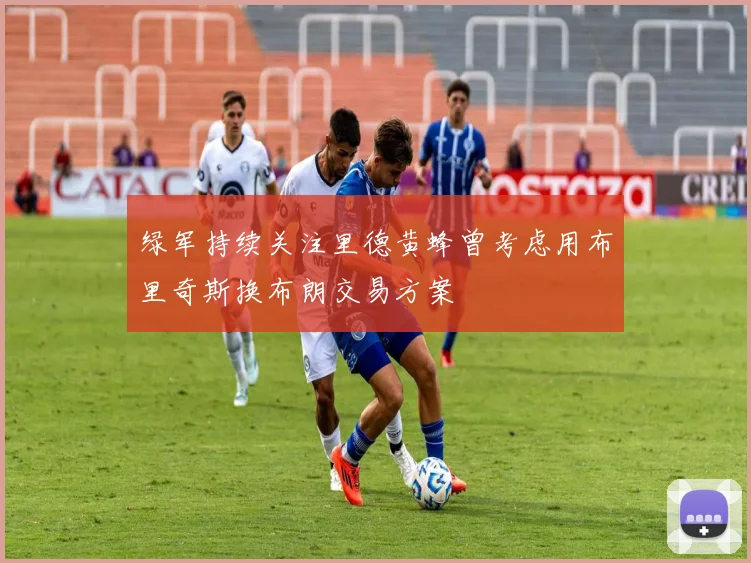 绿军持续关注里德黄蜂曾考虑用布里奇斯换布朗交易方案